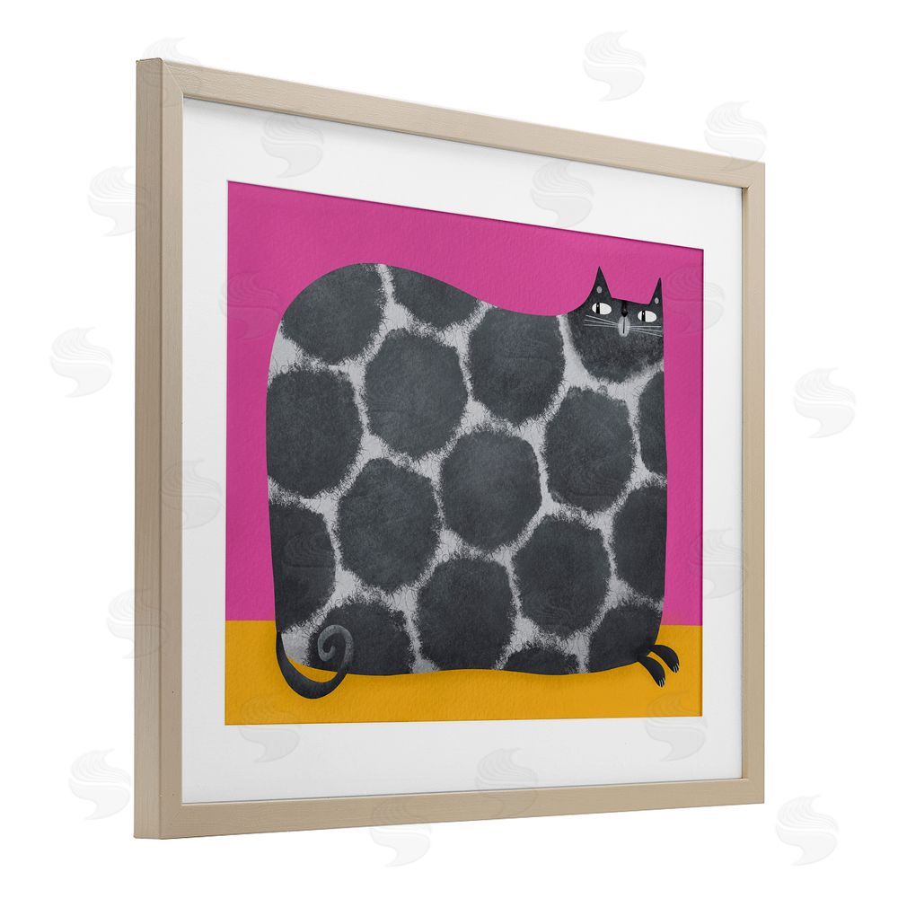 Gabriela Avila Big Spots on Cat Birch Framed Print Under Glass Wall Art