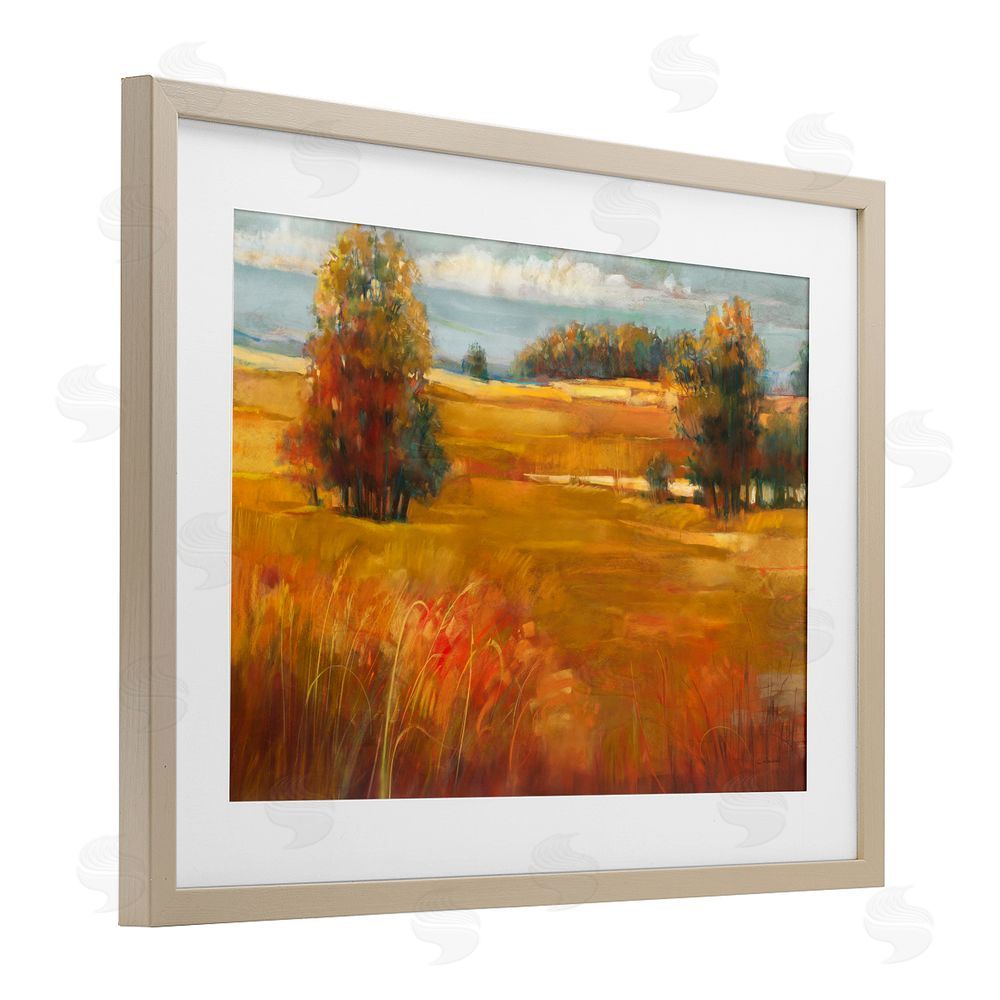 Carol Rowan October Light Countryside Birch Framed Print Under Glass with White Mat Wall Art