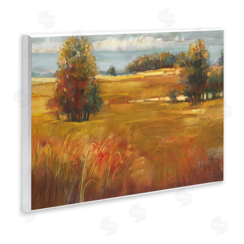 Carol Rowan October Light Countryside Wall Plaque Art Print
