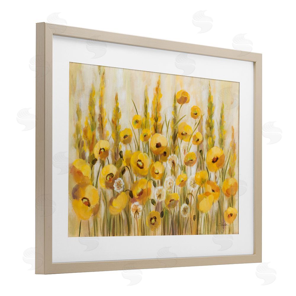 Silvia Vassileva Yellow Field of Poppies Birch Framed Print Under Glass Wall Art