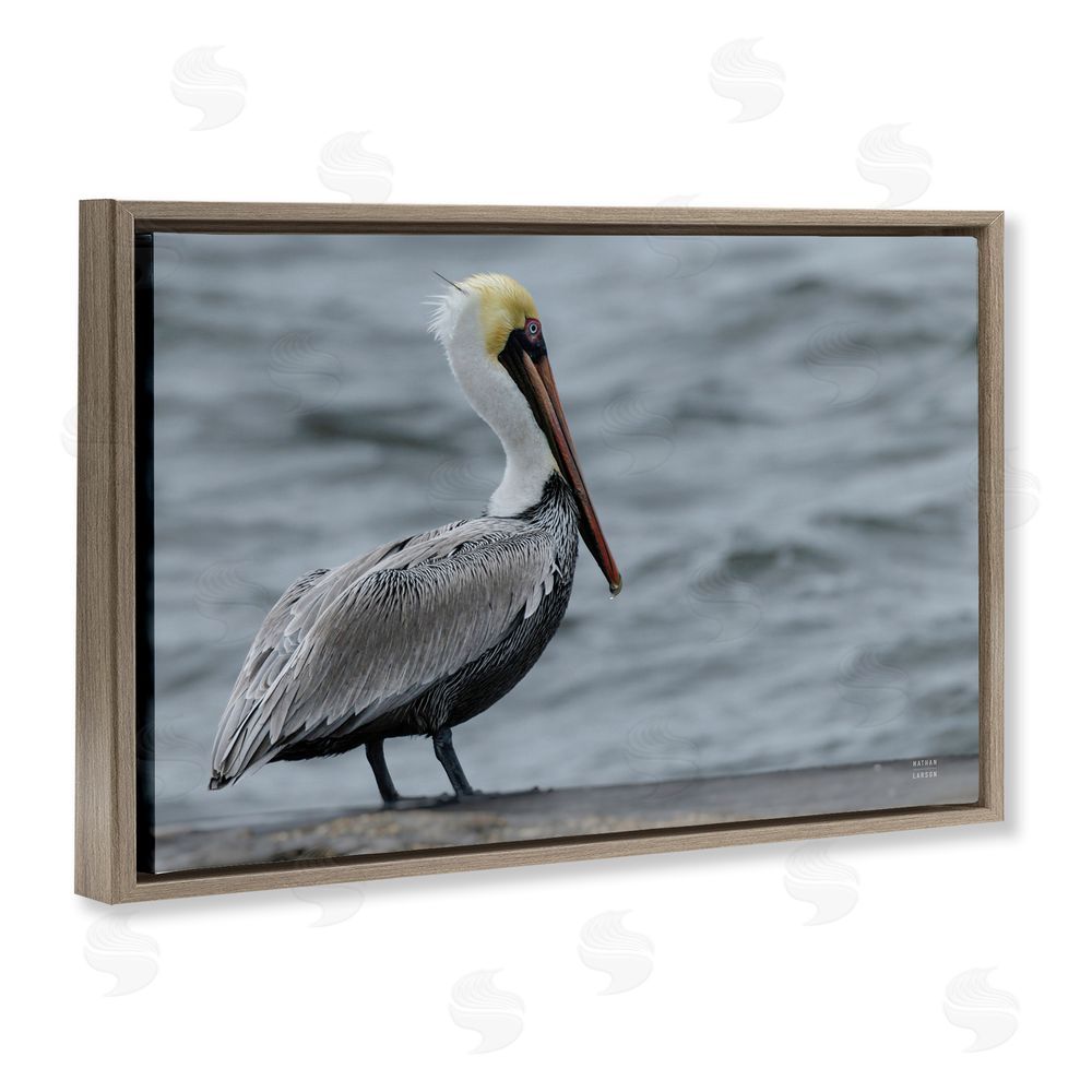 Nathan Larson Pelican Watch Photography Brown Floating Frame Canvas Wall Art Print