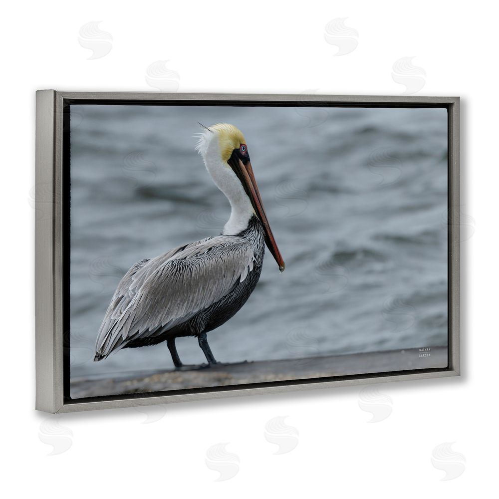 Nathan Larson Pelican Watch Photography Gray Floating Frame Canvas Wall Art Print