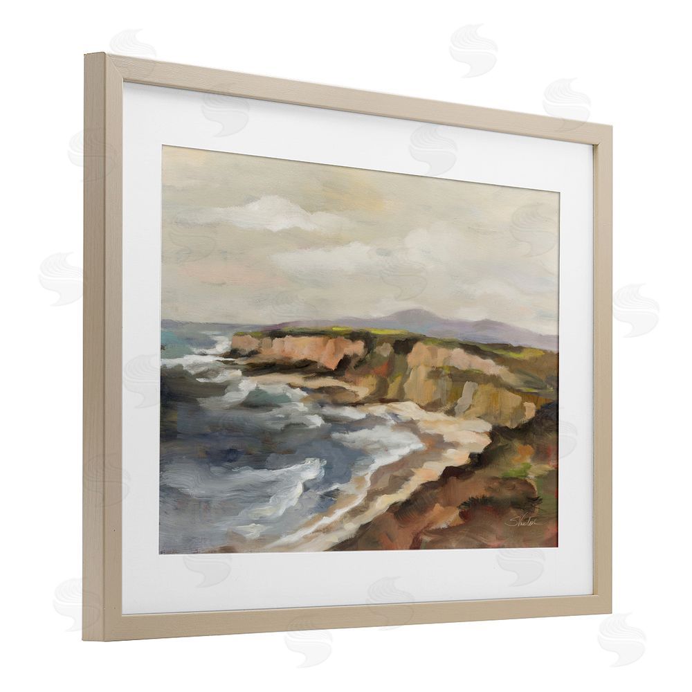 Silvia Vassileva Rocky Coast Expression Birch Framed Print Under Glass Wall Art