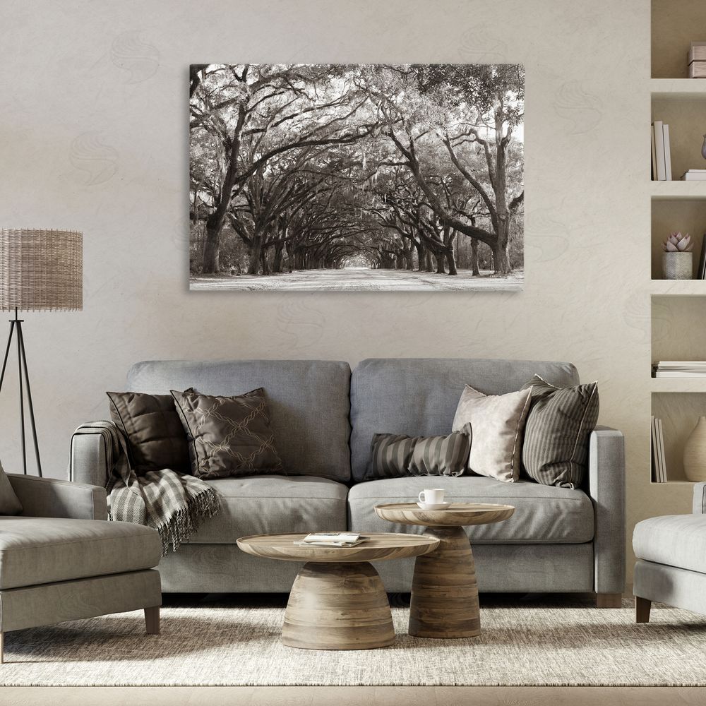 Nathan Larson Georgia Stroll Tree Tunnel Canvas Wall Art Print in Room