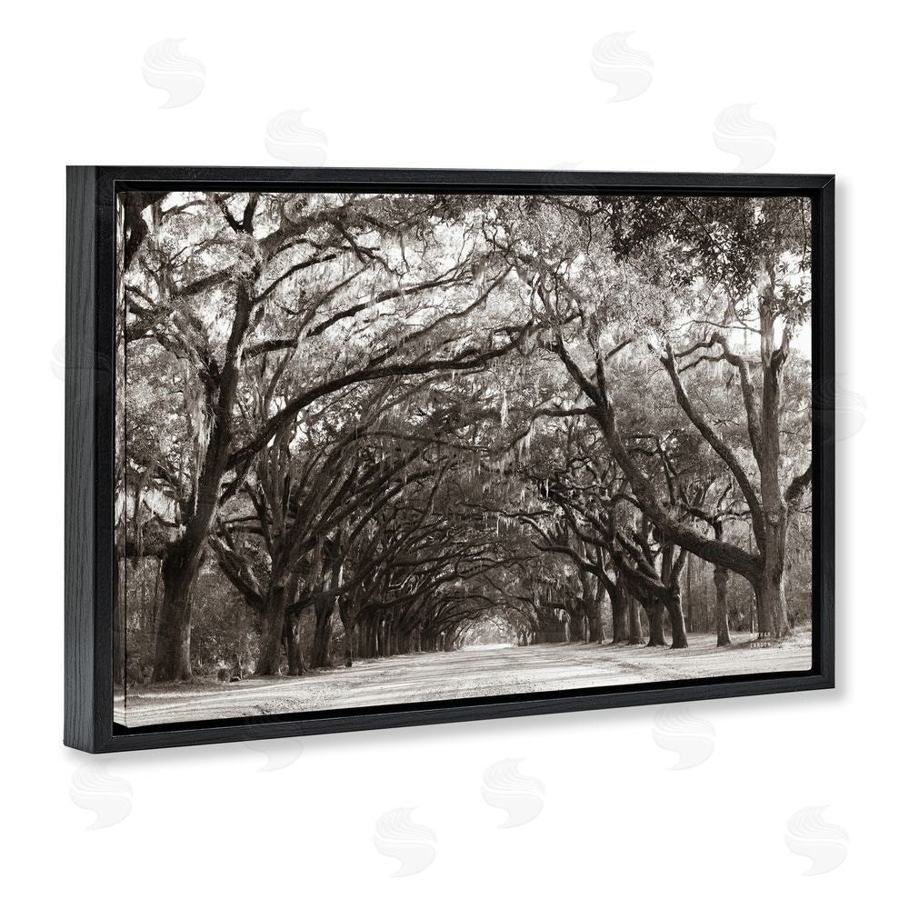 Nathan Larson Georgia Stroll Tree Tunnel Black Floating Frame Canvas Wall Art Print