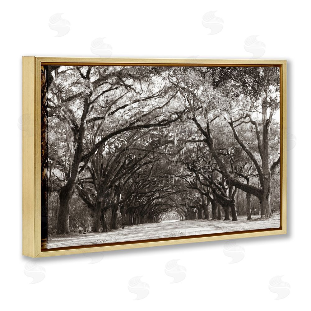 Nathan Larson Georgia Stroll Tree Tunnel Gold Floating Frame Canvas Wall Art Print