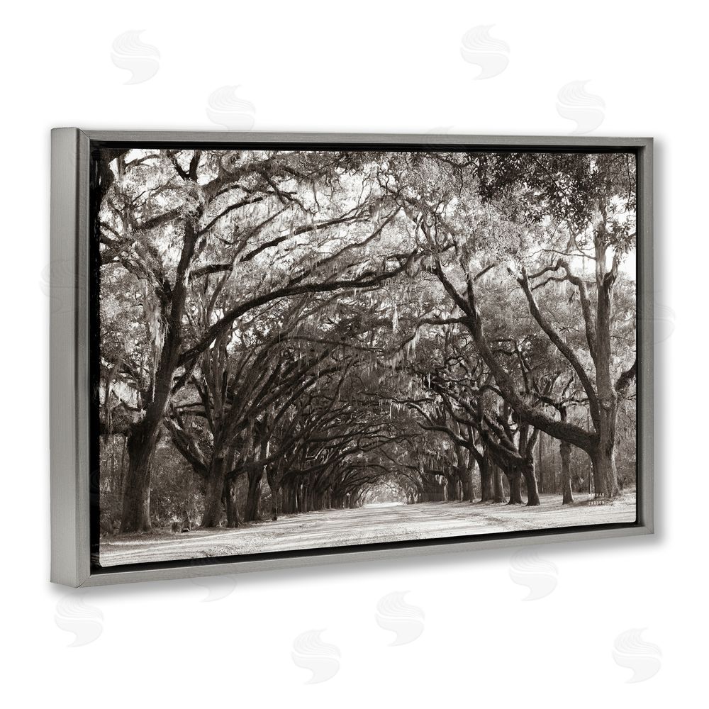 Nathan Larson Georgia Stroll Tree Tunnel Gray Floating Frame Canvas Wall Art Print