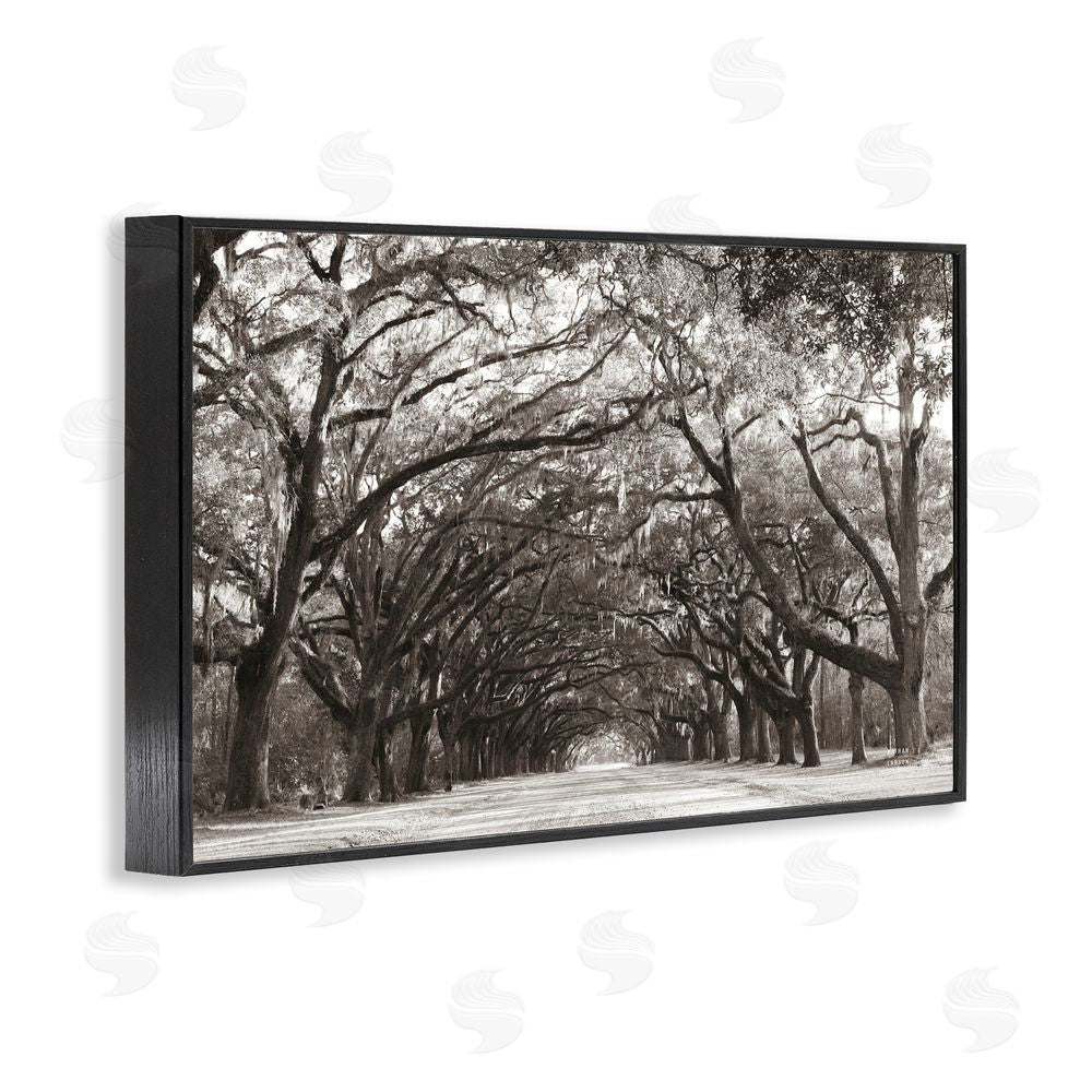 Nathan Larson Georgia Stroll Tree Tunnel Black Framed Giclee Wall Art Print