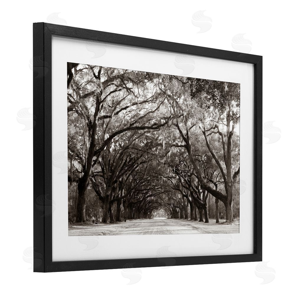 Nathan Larson Georgia Stroll Tree Tunnel Black Framed Print Under Glass Wall Art