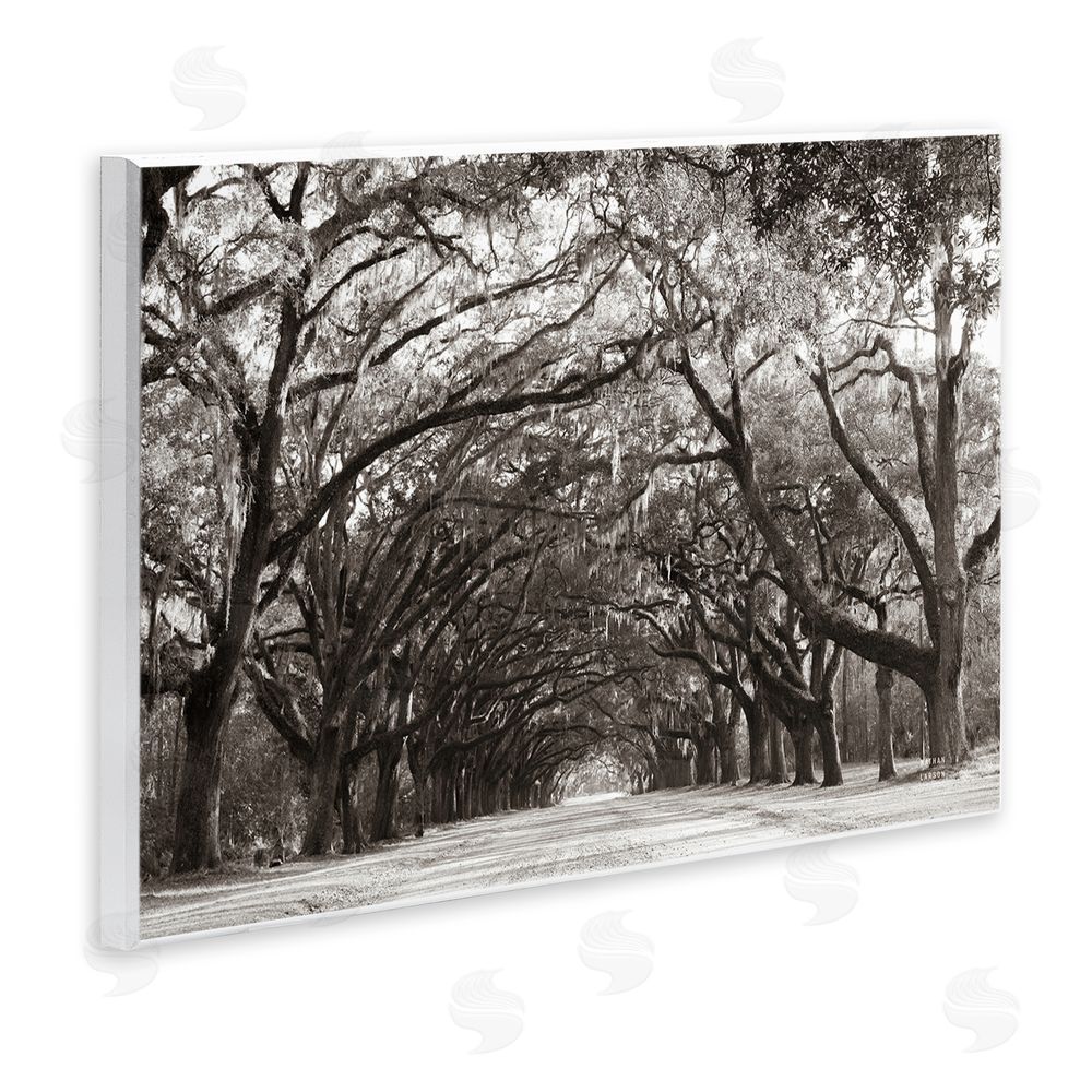 Nathan Larson Georgia Stroll Tree Tunnel Wall Plaque Art Print