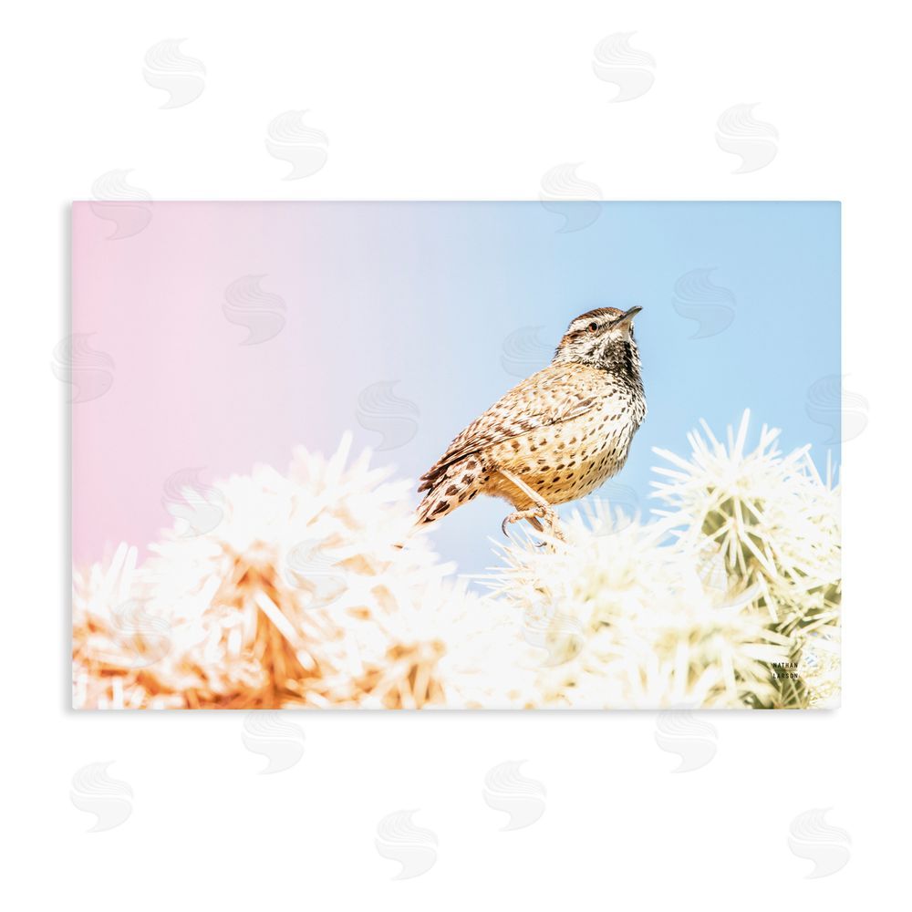 Nathan Larson Desert Song Bird Stretched Canvas Wall Art Print