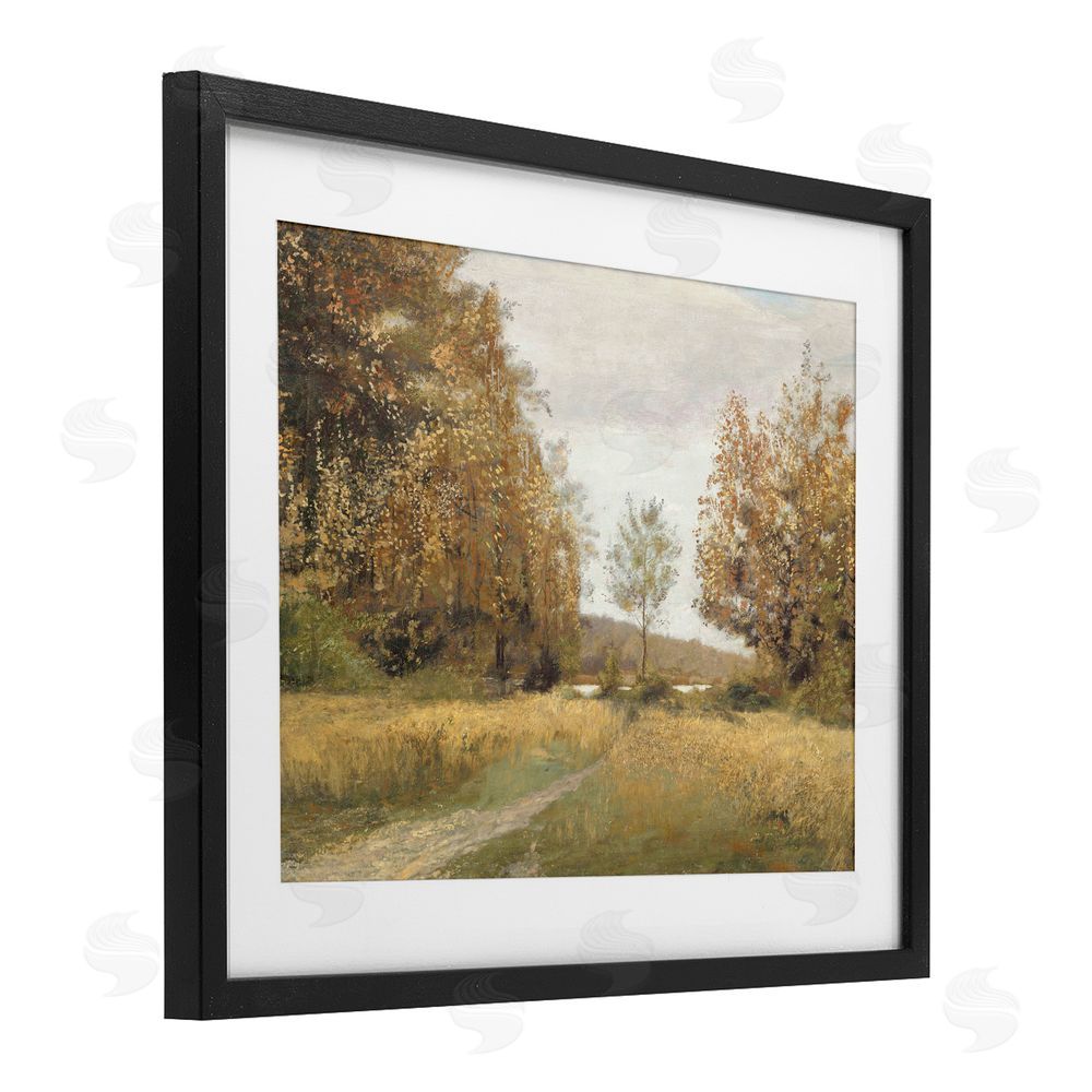 Amber Sterling Path Through Autumn Trees Black Framed Print Under Glass with White Mat Wall Art