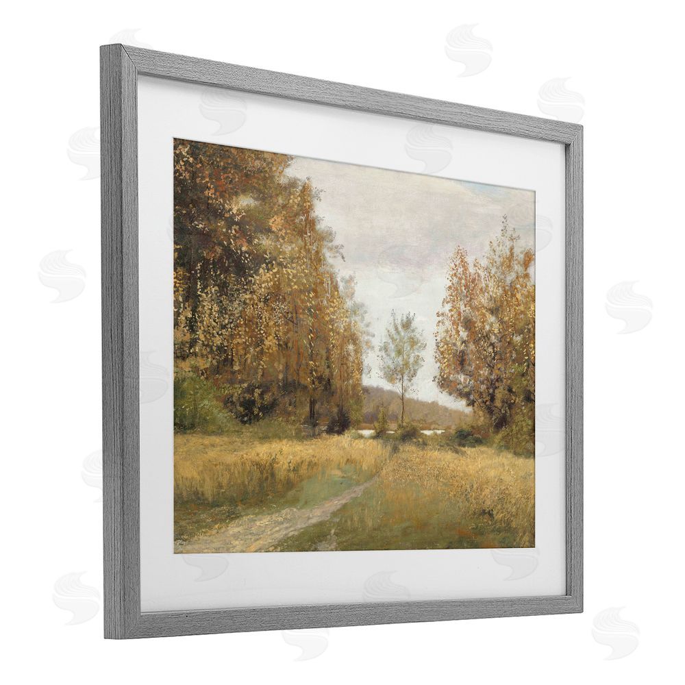 Amber Sterling Path Through Autumn Trees Gray Framed Print Under Glass with White Mat Wall Art