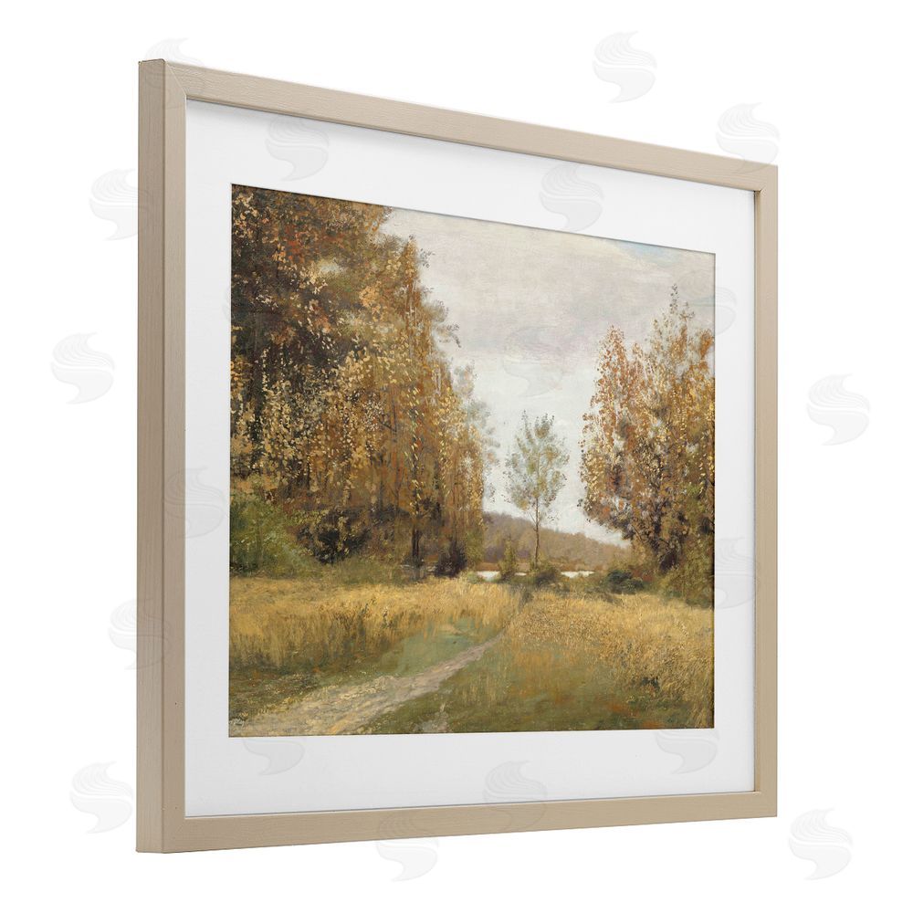 Amber Sterling Path Through Autumn Trees Birch Framed Print Under Glass with White Mat Wall Art