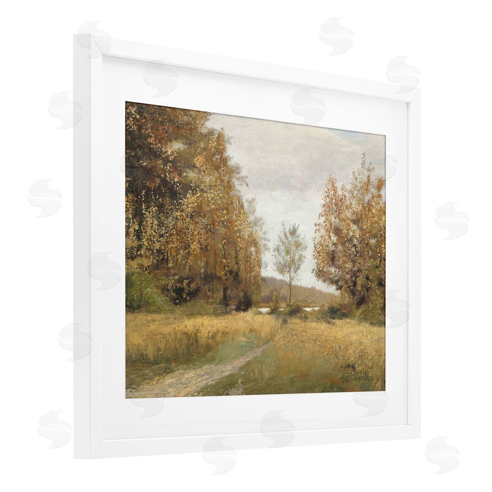 Amber Sterling Path Through Autumn Trees White Framed Print Under Glass with Mat Wall Art