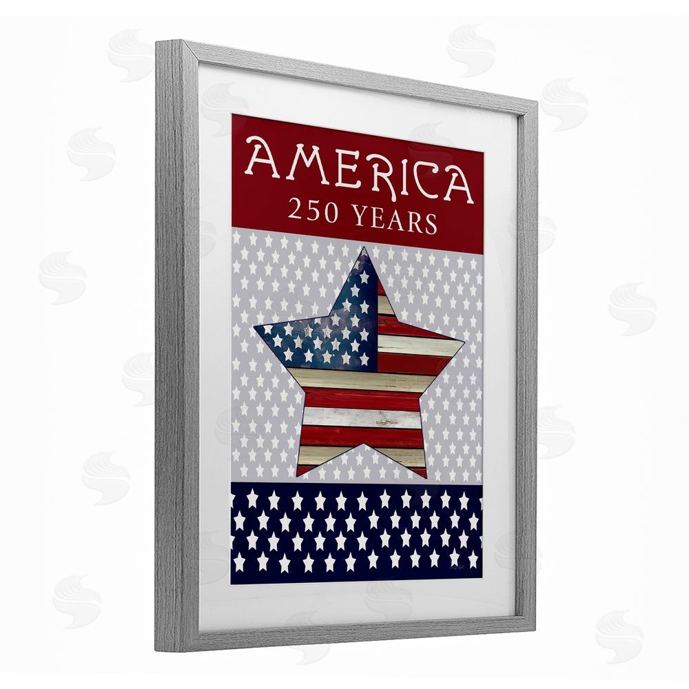 Cindy Jacobs Historic America 250 Years Gray Framed Print Under Glass Wall Art