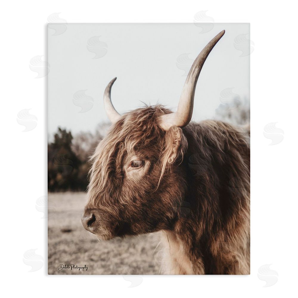Dakota Diener Horned Cattle Peering Stretched Canvas Wall Art Print