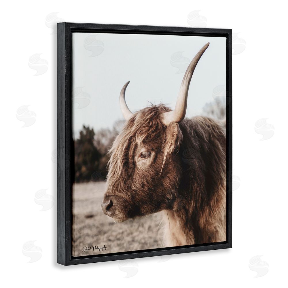 Dakota Diener Horned Cattle Peering Black Floating Frame Canvas Wall Art Print