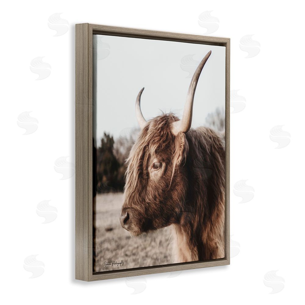 Dakota Diener Horned Cattle Peering Brown Floating Frame Canvas Wall Art Print