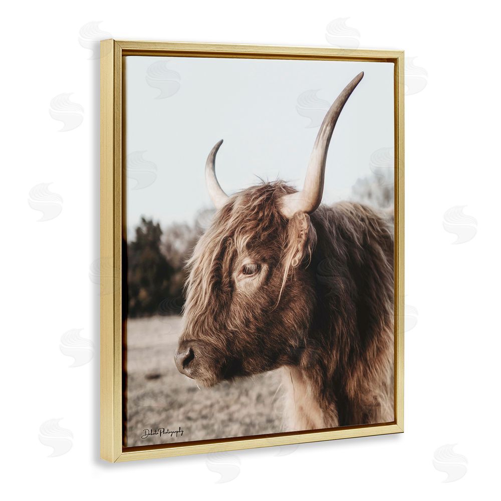 Dakota Diener Horned Cattle Peering Gold Floating Frame Canvas Wall Art Print