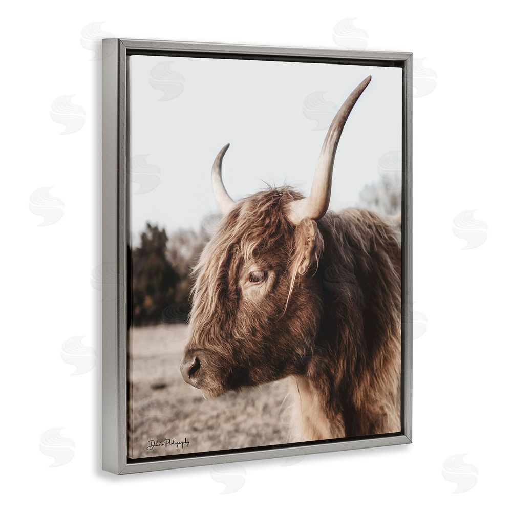 Dakota Diener Horned Cattle Peering Gray Floating Frame Canvas Wall Art Print
