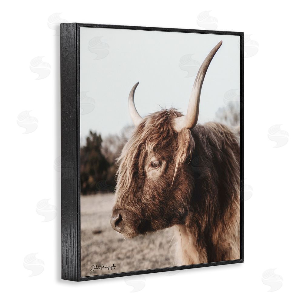 Dakota Diener Horned Cattle Peering Black Framed Giclee Wall Art Print
