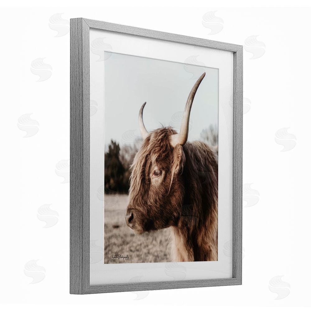 Dakota Diener Horned Cattle Peering Gray Framed Print Under Glass Wall Art