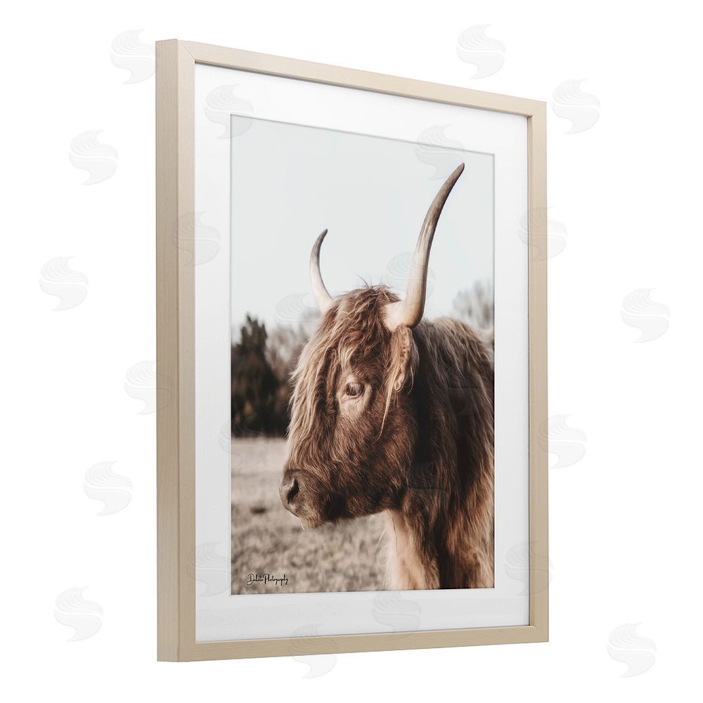 Dakota Diener Horned Cattle Peering Birch Framed Print Under Glass Wall Art