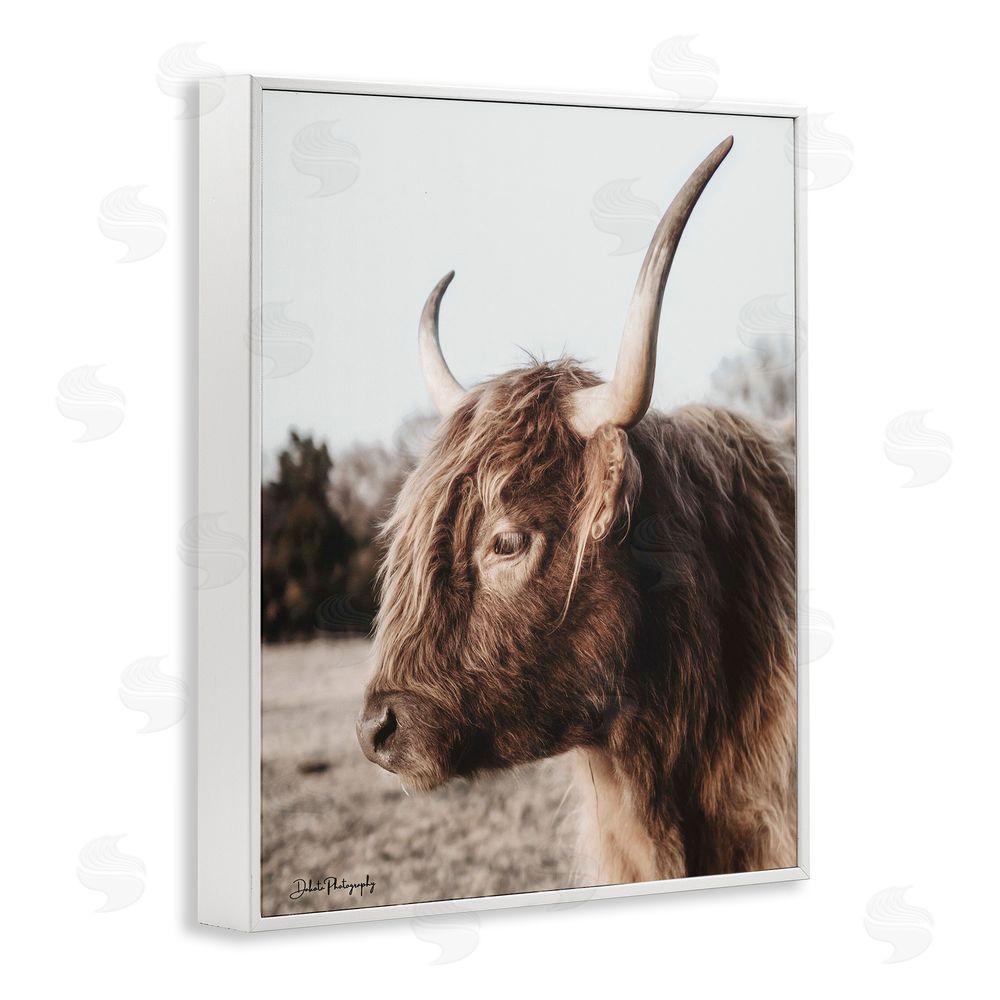 Dakota Diener Horned Cattle Peering White Framed Giclee Wall Art Print