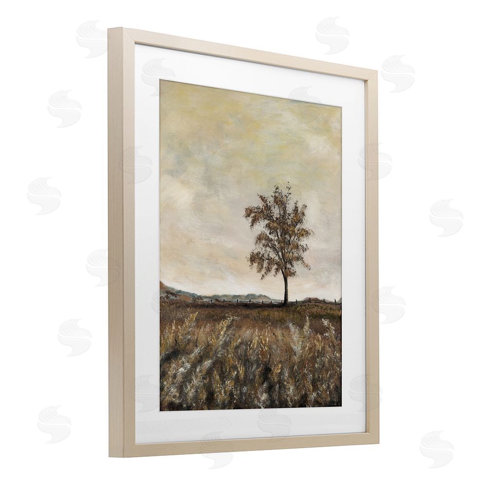 Soulspeak & Sawdust Yesterdays Gone By Birch Framed Print Under Glass Wall Art