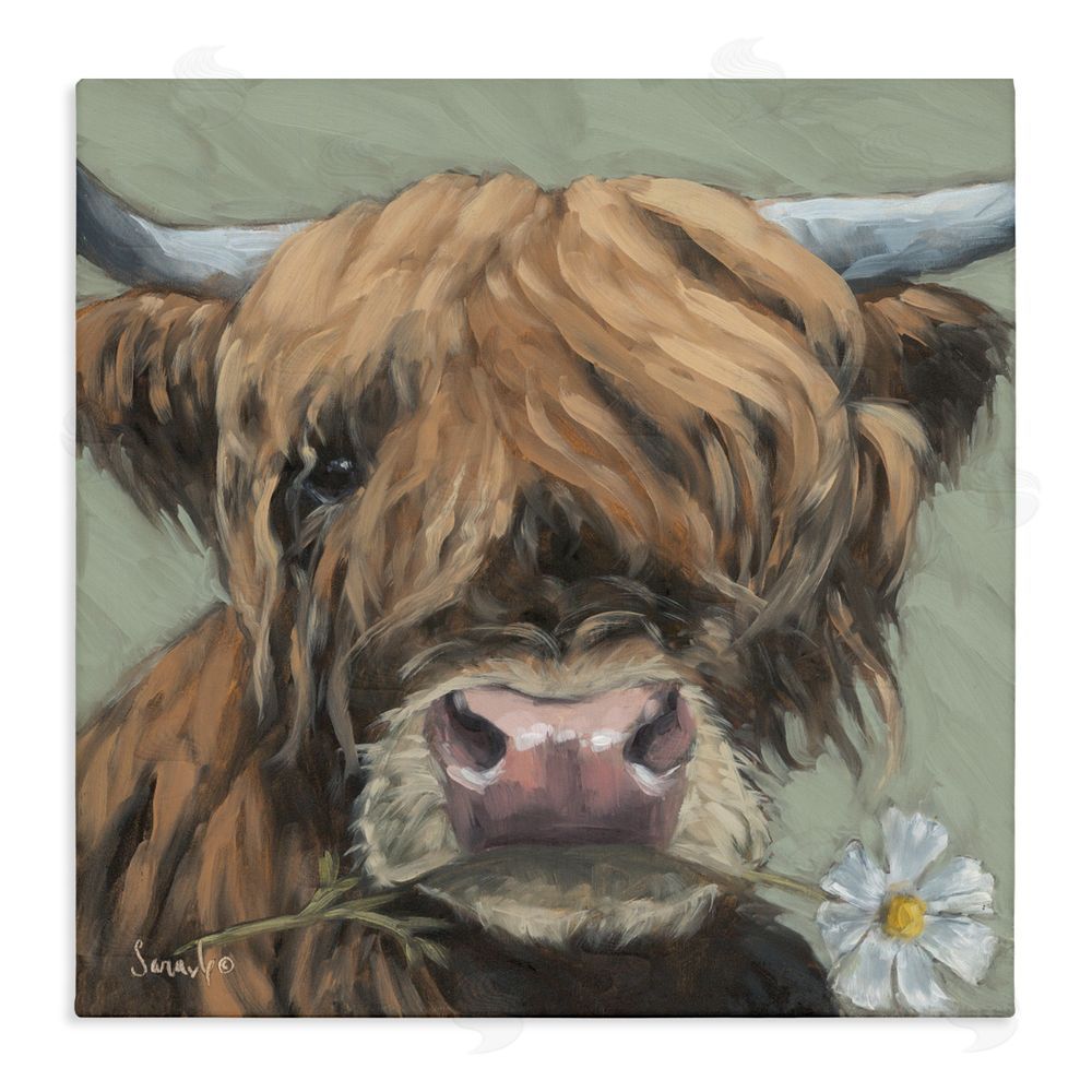 Sara G. Designs Blossom Babe Cattle Stretched Canvas Wall Art