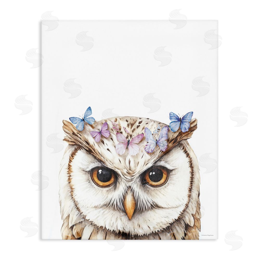 Svetlana Aleynikova Owl & Butterfly Wings Stretched Canvas Wall Art Print