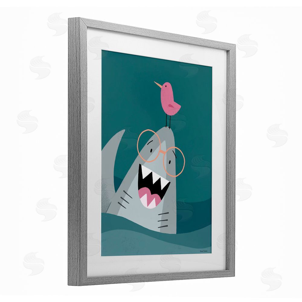 Rachel Nieman The Friendliest Shark Gray Framed Print Under Glass Wall Art