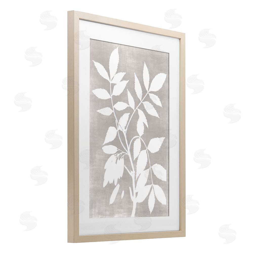 Stellar Design Studio Minimal Foliage Impression Birch Framed Print Under Glass Wall Art
