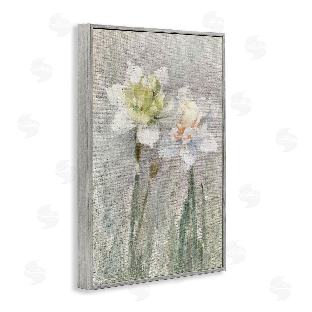 Stellar Design Studio Twin White Daffodils Gray Framed Giclee Wall Art Print