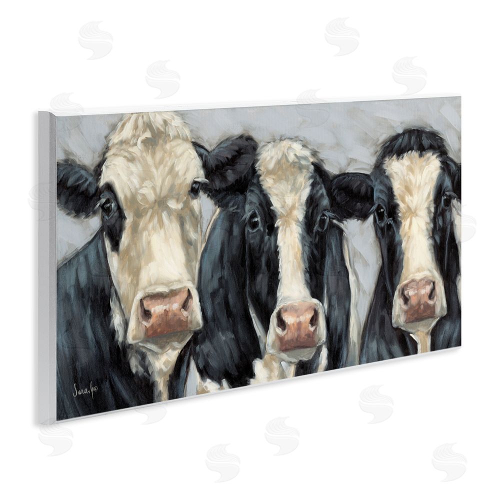 Sara G. Designs Ink & Ivory Cow Trio Wall Plaque Art Print