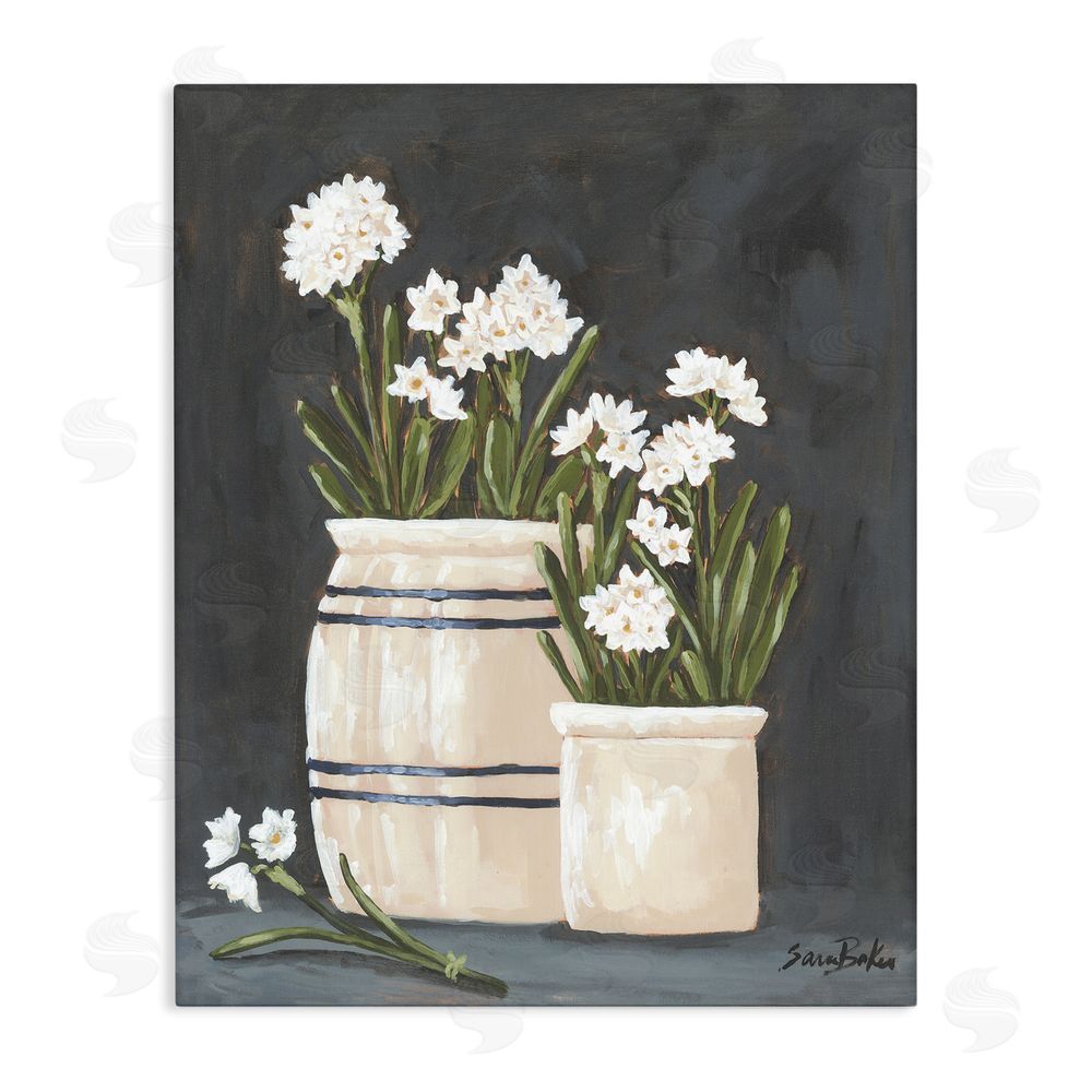 Sara Baker Vintage Crocks & Paperwhites Stretched Canvas Wall Art Print