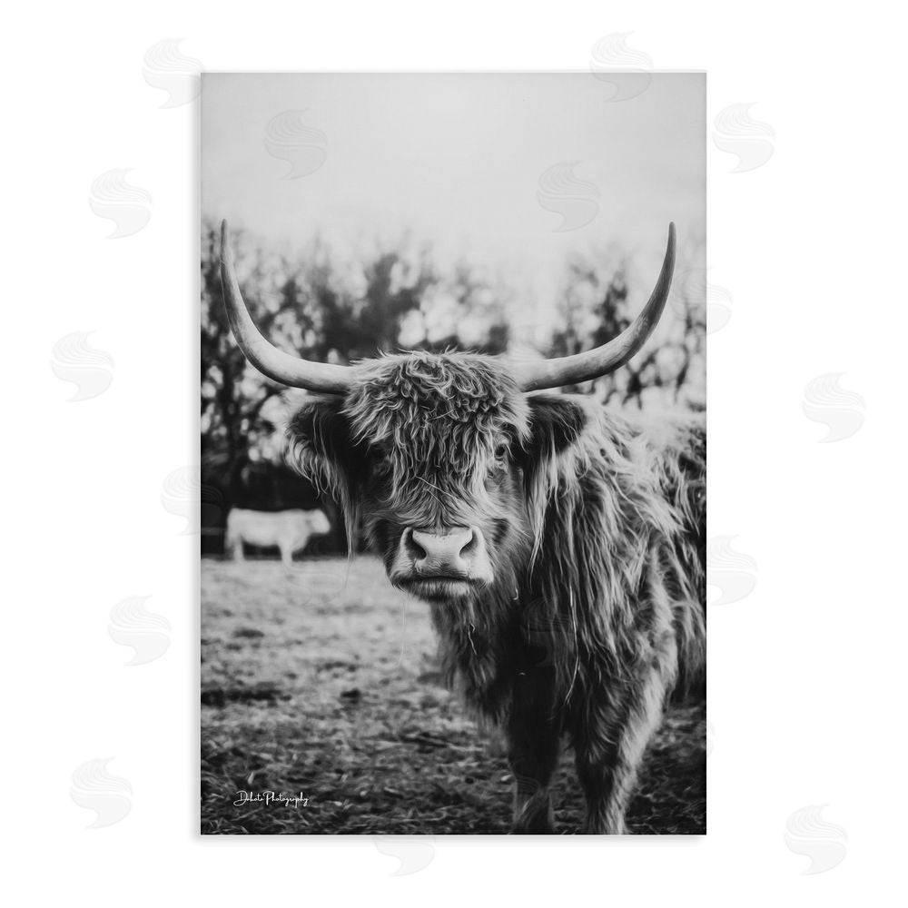 Dakota Diener Peering Highland Cattle Stretched Canvas Wall Art Print