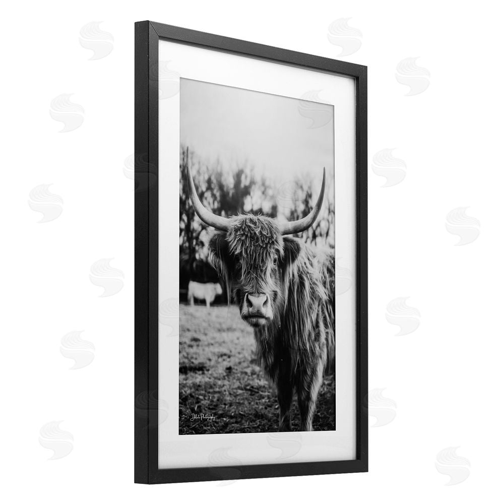 Dakota Diener Peering Highland Cattle Black Framed Print Under Glass Wall Art