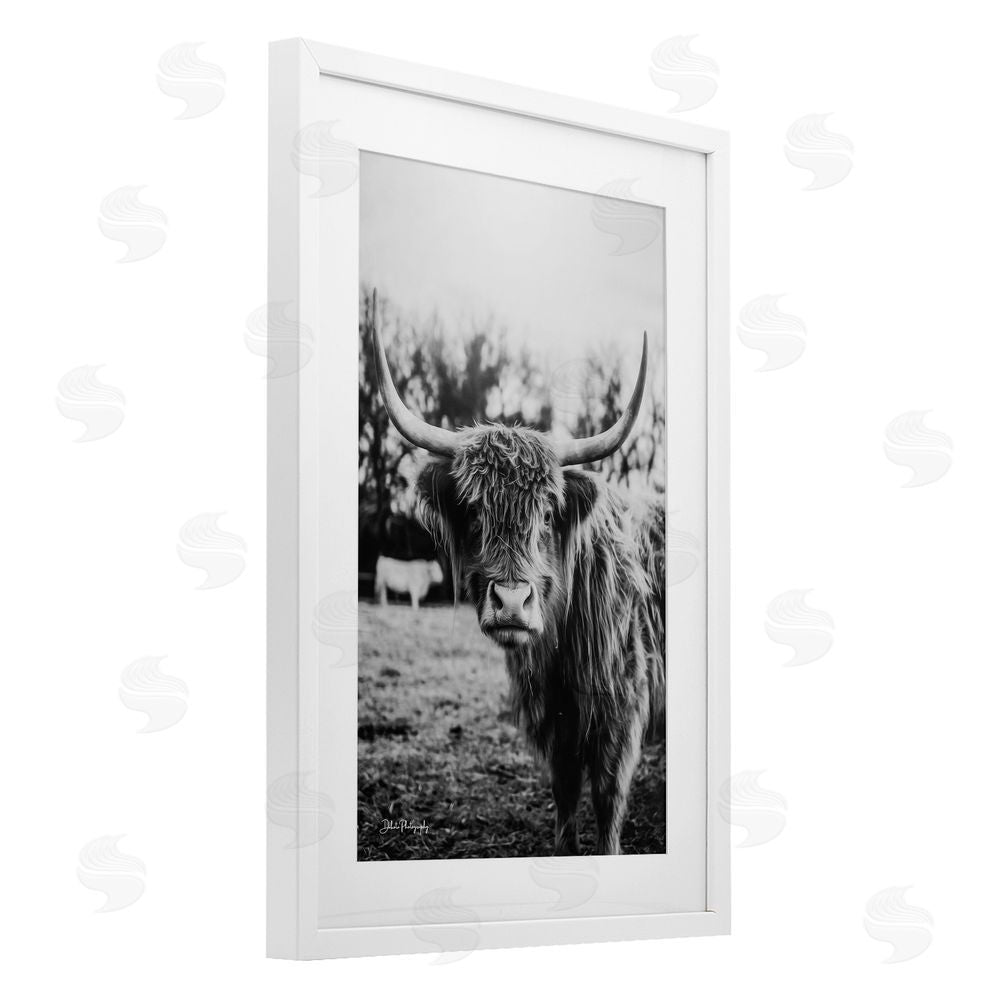 Dakota Diener Peering Highland Cattle White Framed Print Under Glass Wall Art
