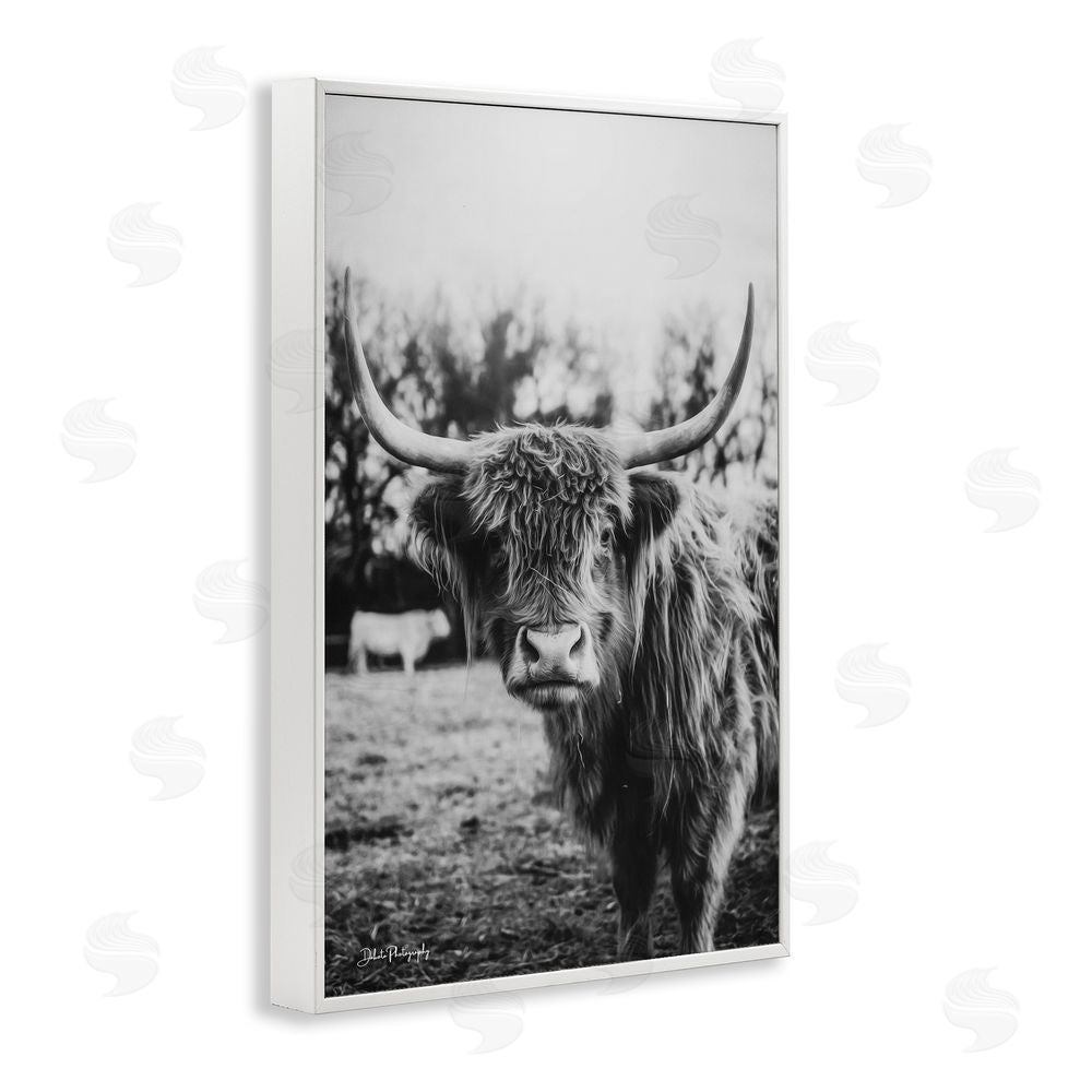 Dakota Diener Peering Highland Cattle White Framed Giclee Wall Art Print