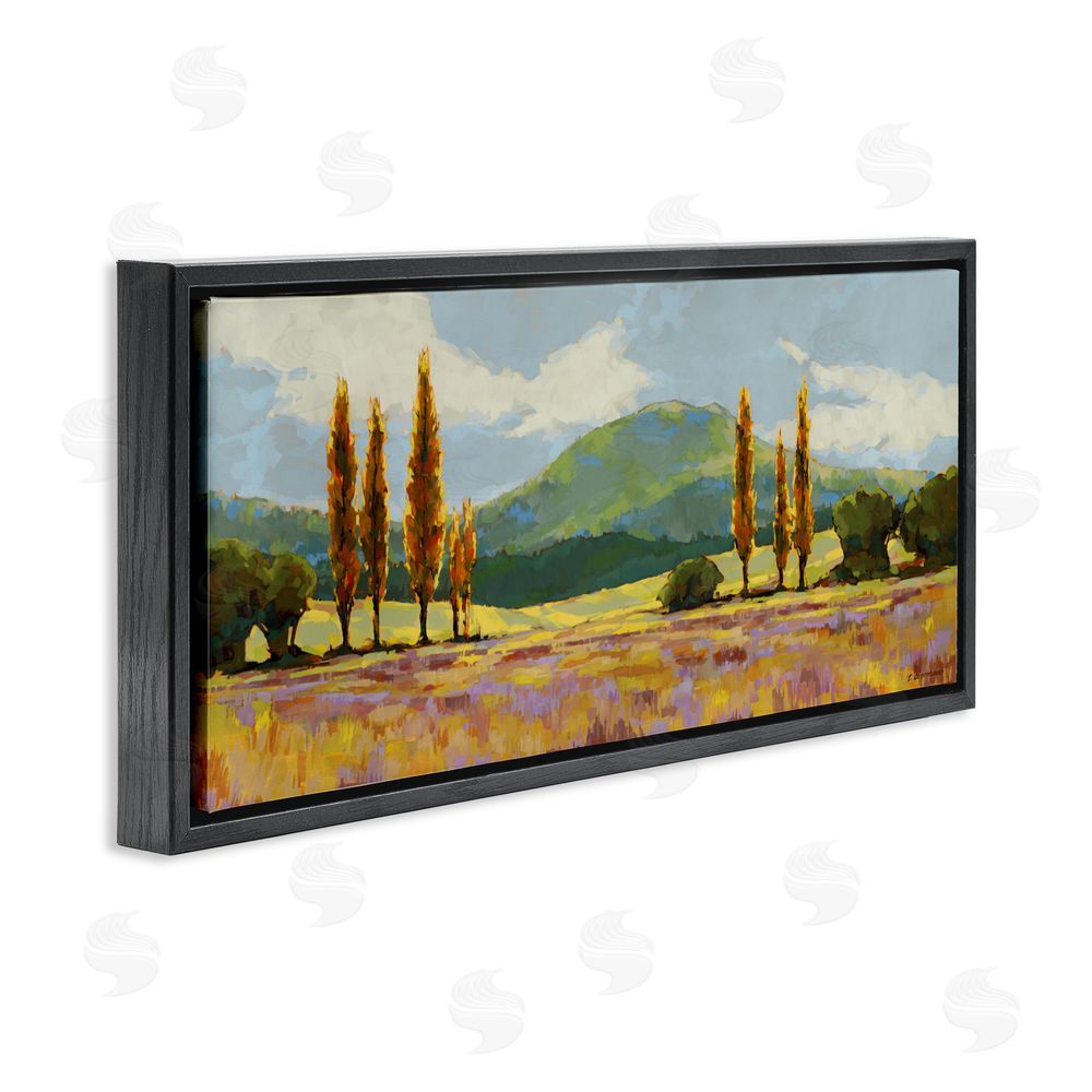 Trevor Copenhaver Countryside with Dabbled Pastels Black Floating Frame Canvas Wall Art Print