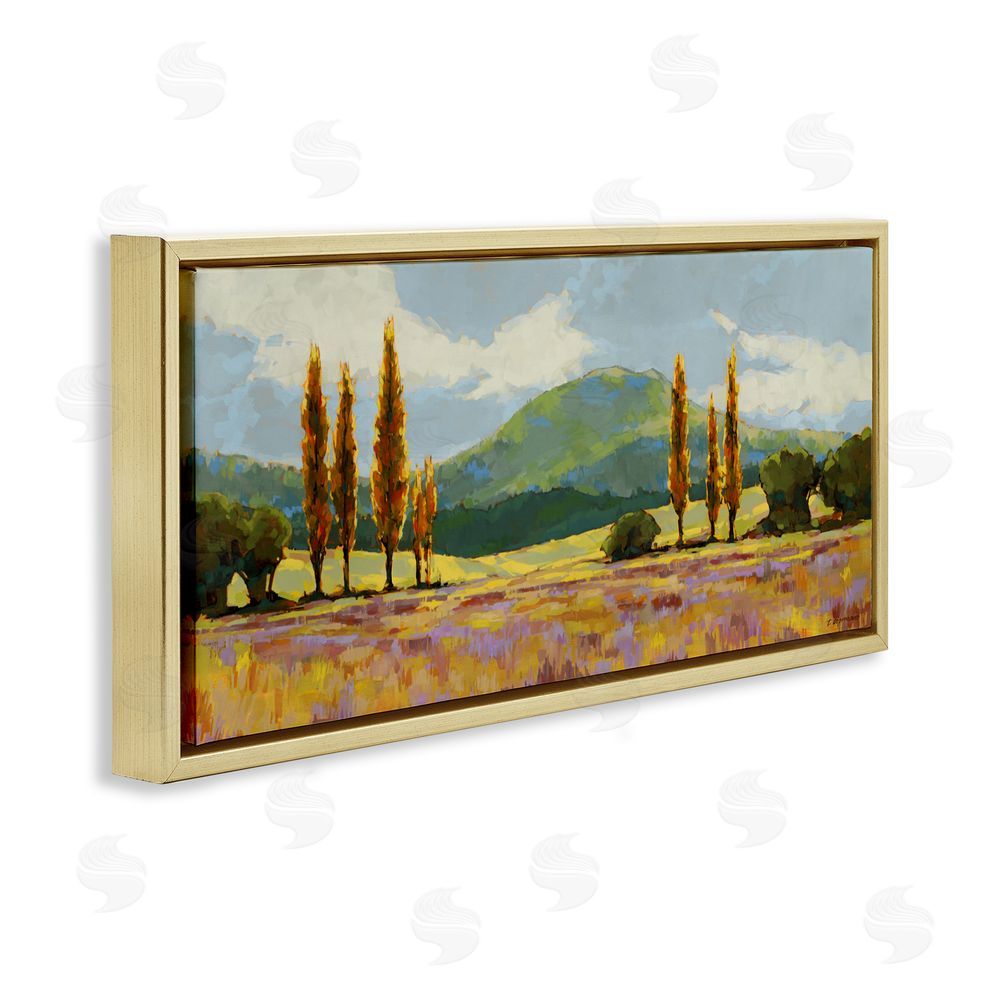 Trevor Copenhaver Countryside with Dabbled Pastels Gold Floating Frame Canvas Wall Art Print