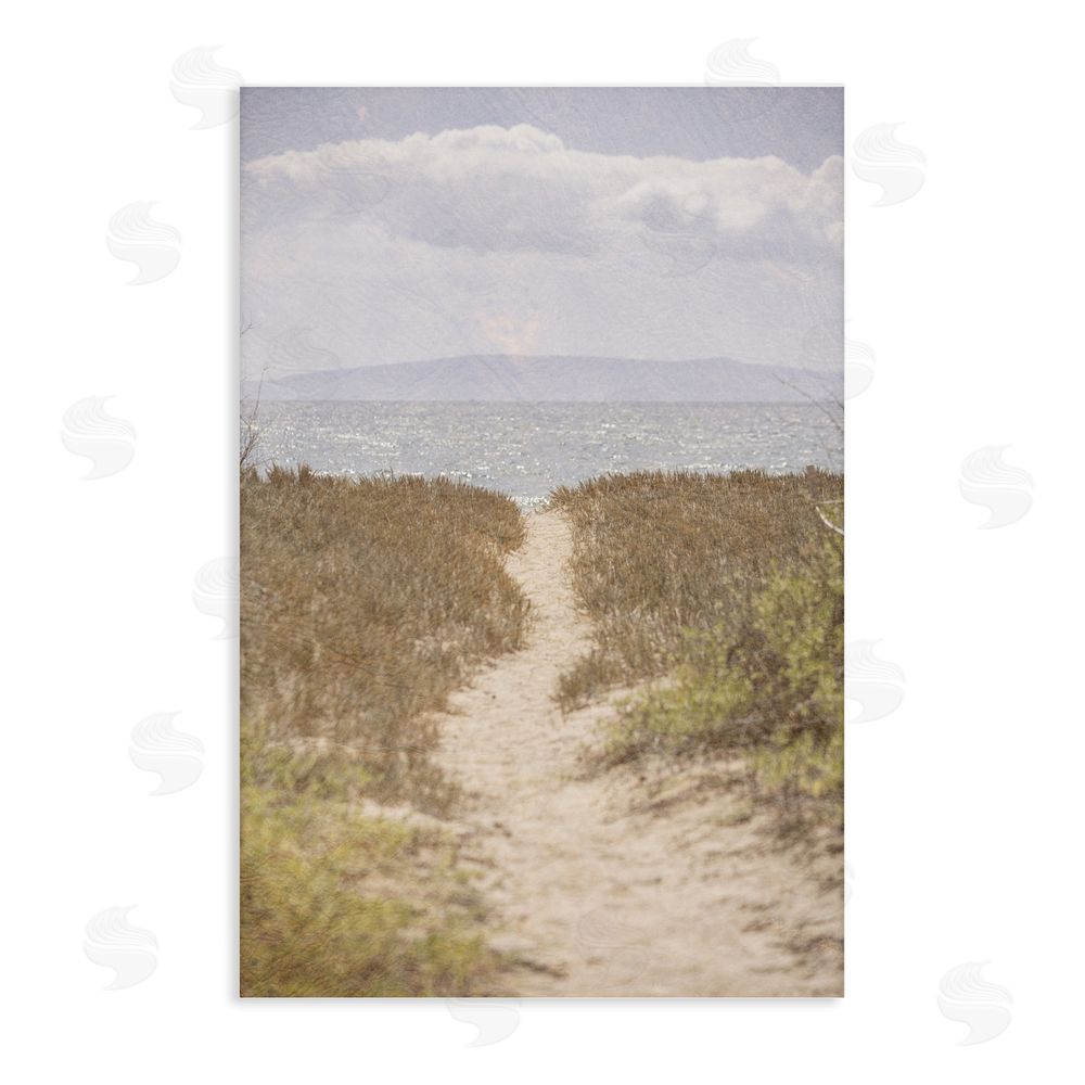 Aaron Matheson Path to Misty Ocean Stretched Canvas Wall Art Print