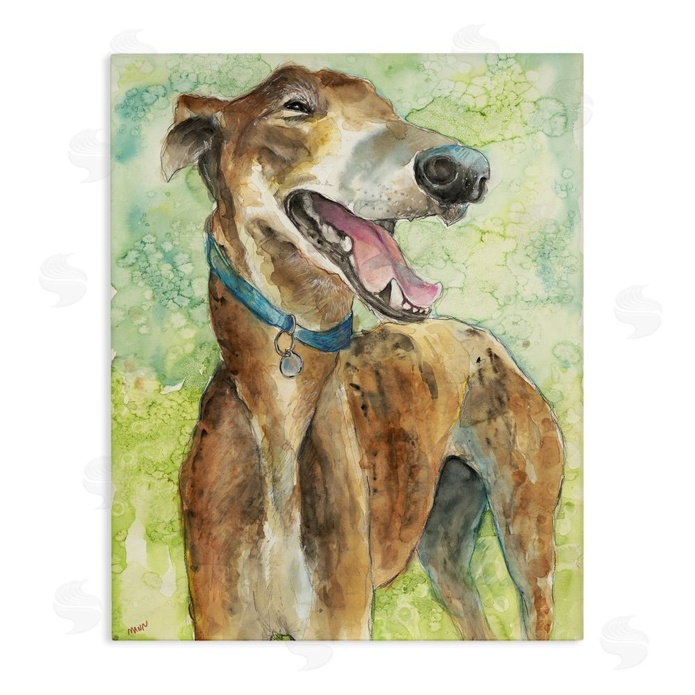 Patti Mann Greyhound Smile Watercolor Stretched Canvas Wall Art