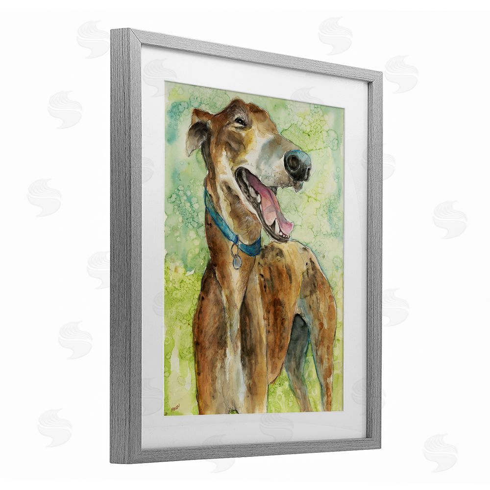 Patti Mann Greyhound Smile Watercolor Gray Framed Print Under Glass with Mat Wall Art