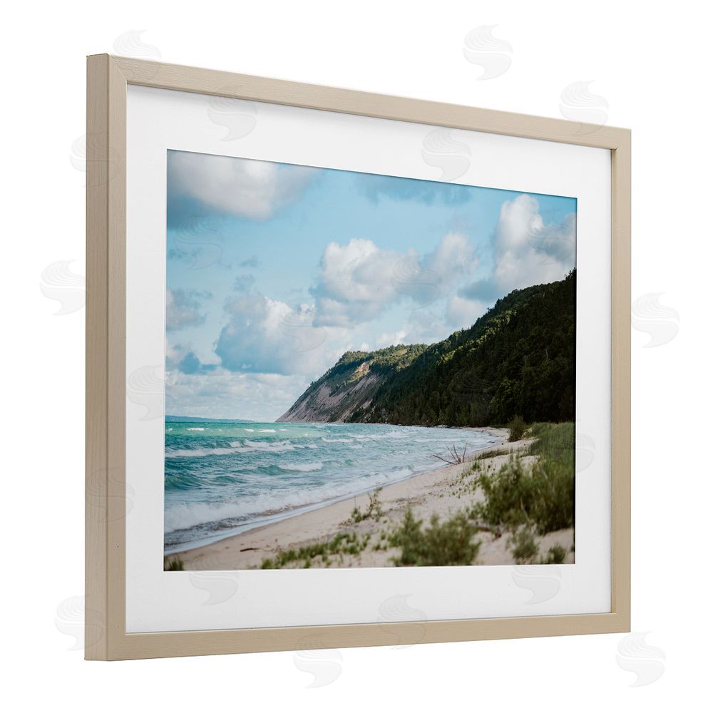 Amy Carroll Sleeping Bear Cliff Brown Framed Print Under Glass Wall Art