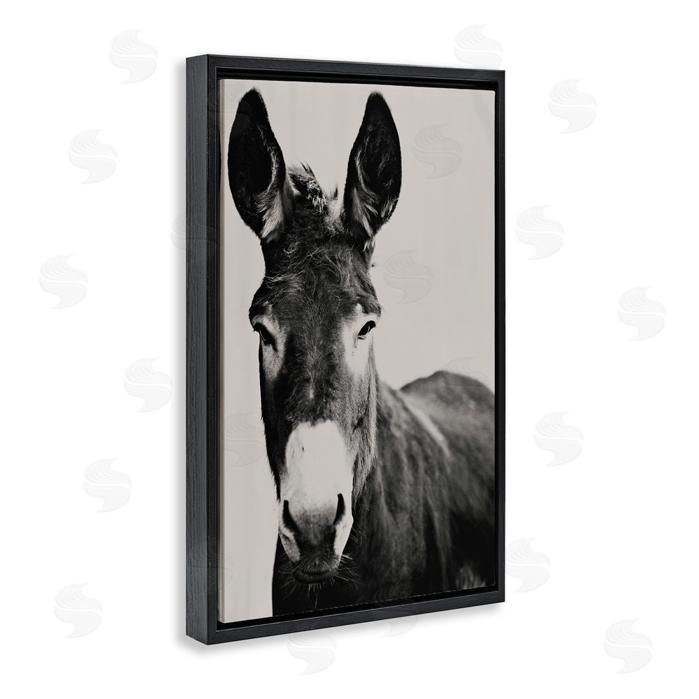 Amy Carroll Franz the Donkey Portrait Black Floating Frame Canvas Wall Art