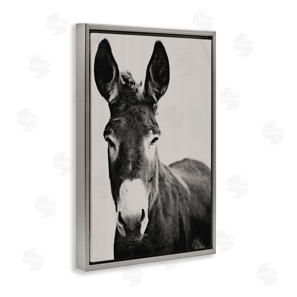Amy Carroll Franz the Donkey Portrait Gray Floating Frame Canvas Wall Art