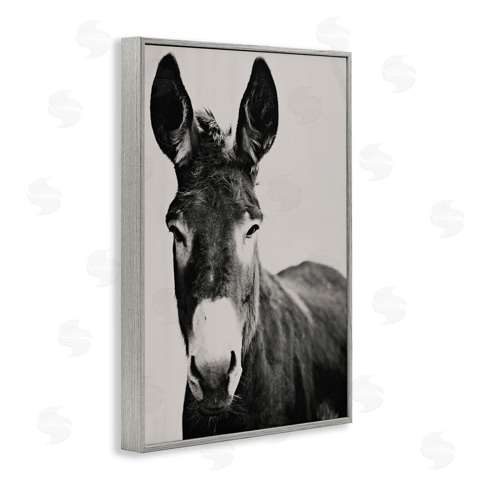 Amy Carroll Franz the Donkey Portrait Gray Framed Giclee Wall Art Print